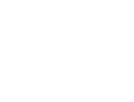 Alliance Coins and Jewelry logo